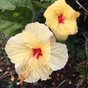 Meet your Posher, Kara